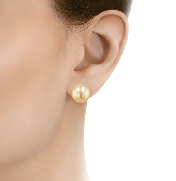 South Sea Golden Pearl Studs
